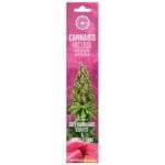 Cannabis røgelsestænger ligger på en flad overflade, omgivet af tørrede cannabisblade, der har en dyb grøn farve med lette nuancer af brun. Ved siden af ses små stykker lyserød tyggegummi, der tilføjer en kontrast med sin glatte tekstur. Baggrunden er neutral og skaber fokus på de naturlige materialer og de forskellige farver.