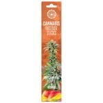 Kombinationen af cannabisrøgelse og tørrede cannabisblade præsenterer en række grønne nuancer, fra lys lime til dyb olivengrøn. Røgelsespindene har en slank, cylindrisk form og en grov tekstur, mens de tørrede blade er flade med ujævne kanter og en sprød konsistens. En saftig, gylden mango ligger i den nederste del, med en glat overflade og tydelige teksturer.