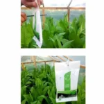 En hvid, minimalistisk emballage præsenterer et sort og grønt logo øverst. Under logoet er teksten "CO2 Bag" trykt i en klar, sort skrifttype, efterfulgt af "100 gram" i mindre, grøn skrift. Emballagens overflade har en glat, mat tekstur, og der er en tydelig stregkode placeret nederst til højre.