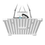 En sort LED-lampe præsenterer sig med en slank, moderne form. Den har en rektangulær skærm, der er let buet og fremstår glat med en mat overflade. Lampens base er robust og firkantet, hvilket giver stabilitet. Der er synlige ventilationsåbninger på bagsiden, og lampen har en enkel, diskret kontakt. Farverne er ensartede i sort, hvilket skaber et stilrent udtryk.