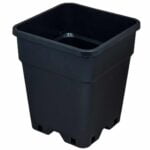 En firkantet potte med en kapacitet på 25 liter præsenterer sig med mål på 33 x 33 x 35 cm. Potten er fremstillet af robust plastik i en dyb, ensartet sort farve. Overfladen er glat med lette, bløde kurver ved hjørnerne. Den har en simpel, moderne form uden synlige dekorationer eller mønstre, hvilket giver et minimalistisk udtryk.