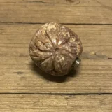 Et rundt pibehoved fremstår med en glat, grå stenoverflade, der har fine, naturlige åretegninger. Den metalliske gevindforbindelse er sølvfarvet og skinner let i lyset. Pibehovedet har en afrundet form med en let udspringende kant, mens den underside er flad og ensartet. Sammenføjningen mellem sten og metal er præcist udført.