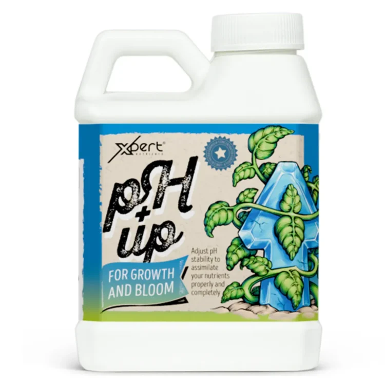 Xpert - Ph Up 0,25L