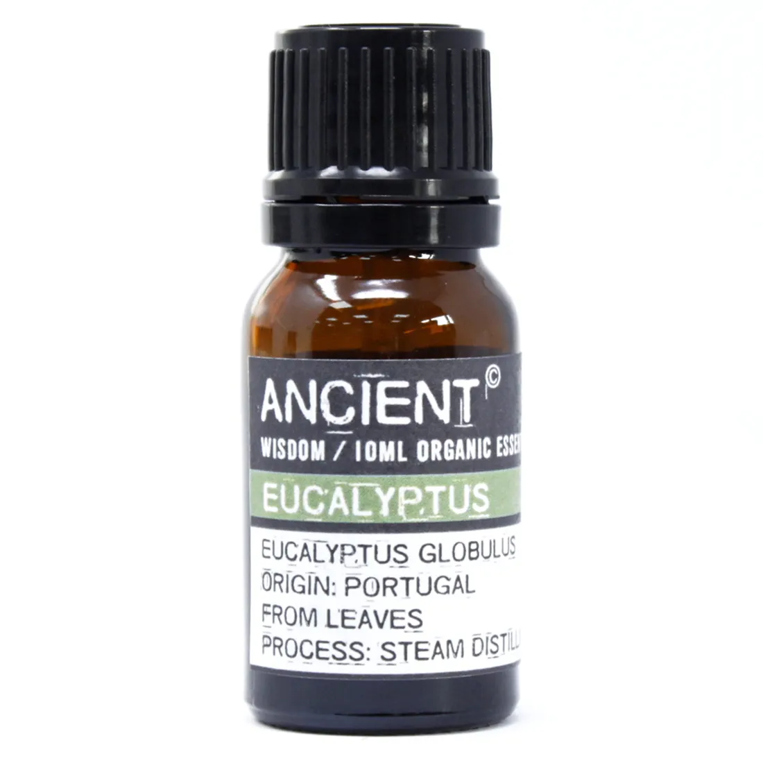 Ancient - Eukalyptus Økologisk Æterisk Olie 10 ml