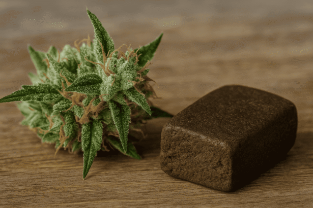 grønt topskud fra skunk plante liggende på et bord ved siden af brun hashklump