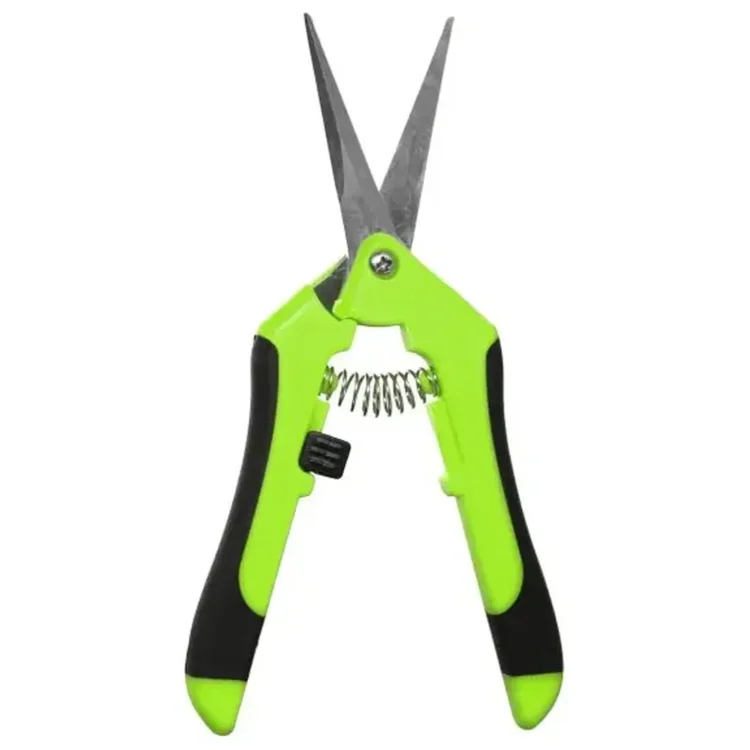 Heisenberg - Harvesting Saks