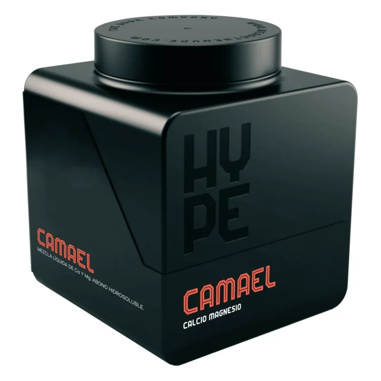 HYPE - Camael 0,25L