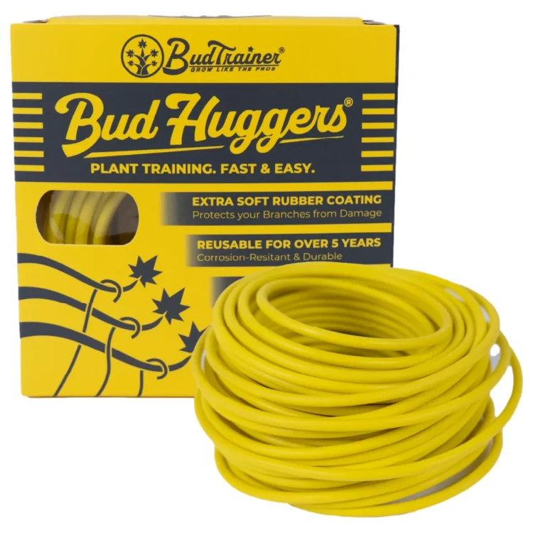 BudTrainer - BudHuggers® Yellow 15m