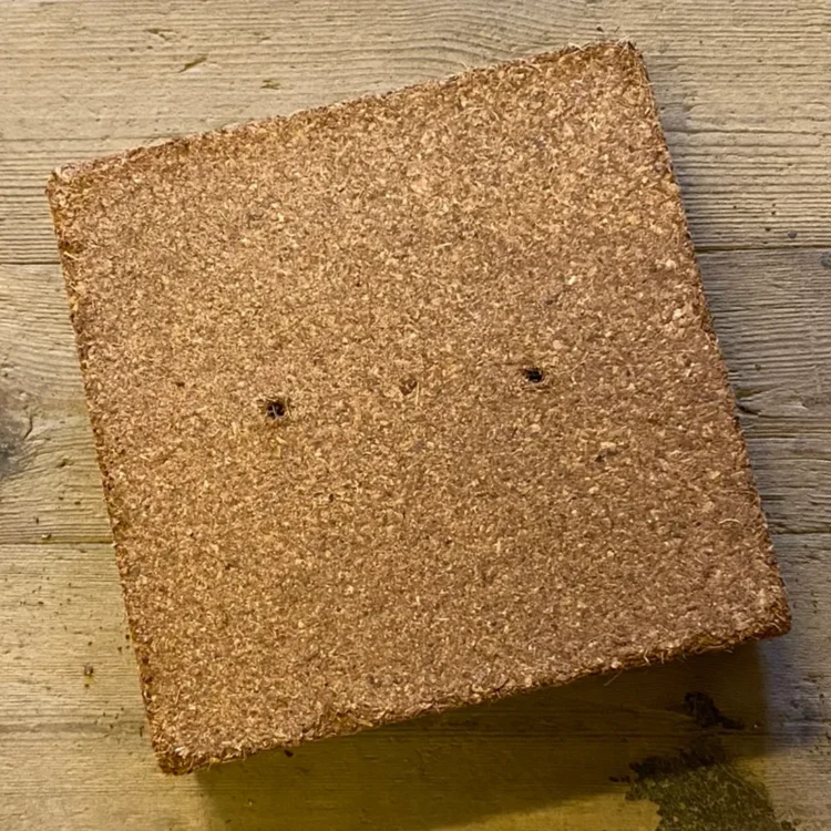 Plagron Coco Block 18x18x5 cm (Udgået)