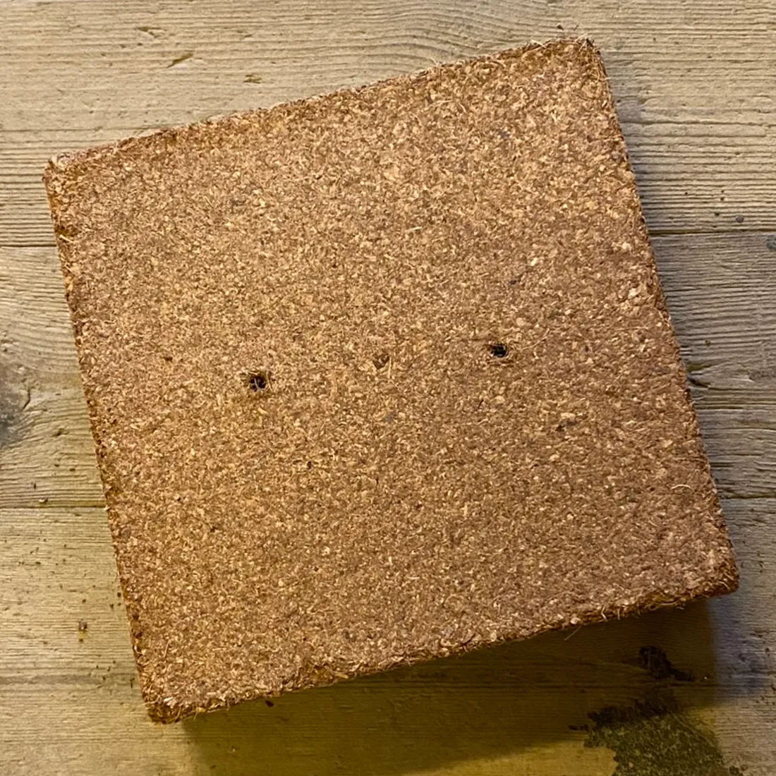 Plagron Coco Block 18x18x5 cm (Udgået)