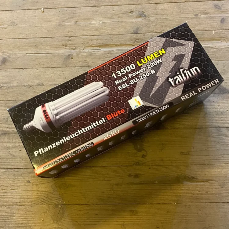 Taifun Blomstring Energisparepære 220W (Udgået)