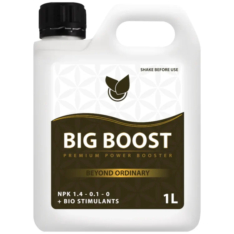 Big Plant Science BIG BOOST 1L gødning i hvid plastdunk med sort låg. Brun etiket med "BIG BOOST" i hvidt.